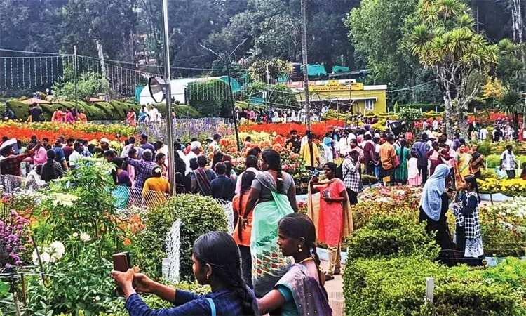 கொடைக்கானல் பிரையண்ட் பூங்காவில் இரவு 7 மணி வரை சுற்றுலா பயணிகளுக்கு அனுமதி!