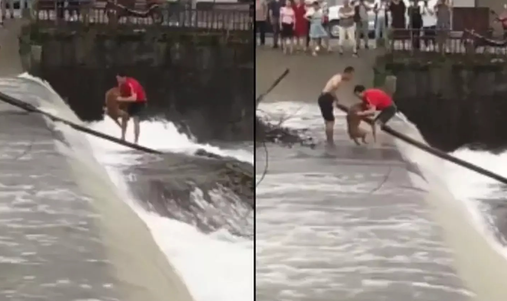 வைரல் வீடியோ... வெள்ளத்தில் சிக்கிய நாயை காப்பாற்றிய இளைஞர்கள்!