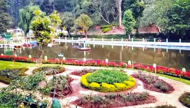 நீலகிரி