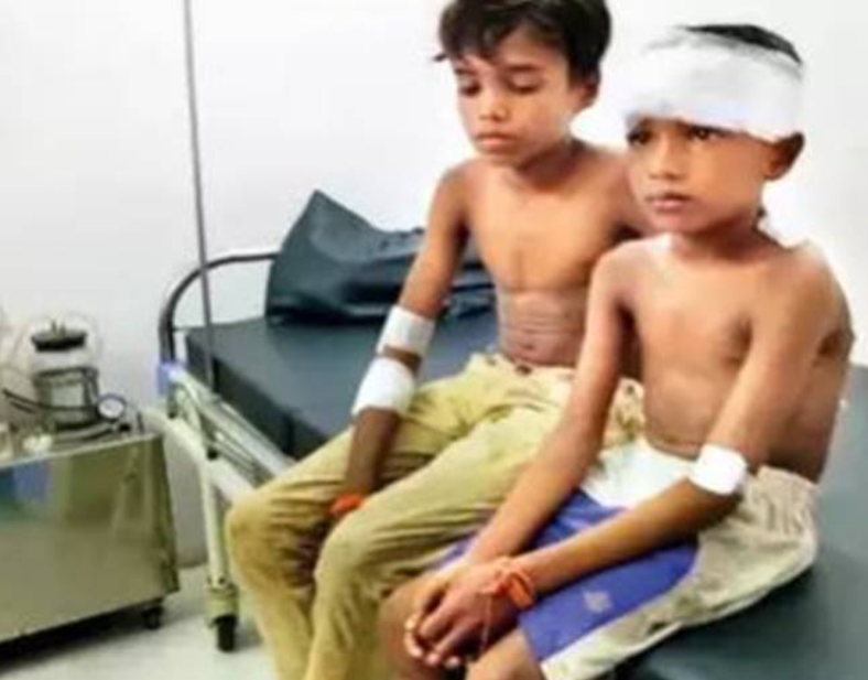 புத்தகப்பை, கற்களை வீசி சிறுத்தையை காட்டுக்குள் விரட்டியடித்த பள்ளி மாணவன்!