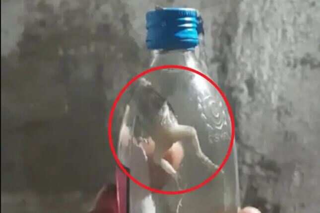 சரக்கு பாட்டிலுக்குள் செத்து மிதந்த தவளை! குடிமகன்கள் அதிர்ச்சி!