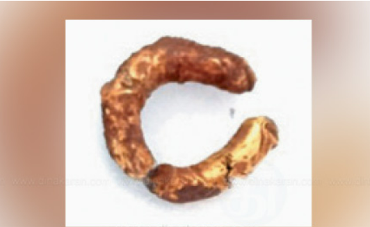 தமிழன்...டா!! ஆதிச்சநல்லூரில் 3000 ஆண்டு பழமையான தங்கக் காதணி!!