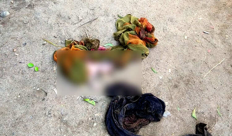 பச்சிளம் குழந்தையை தெருநாய்கள் கடித்து குதறிய கொடூரம்!! மதுரையில் பரபரப்பு!!