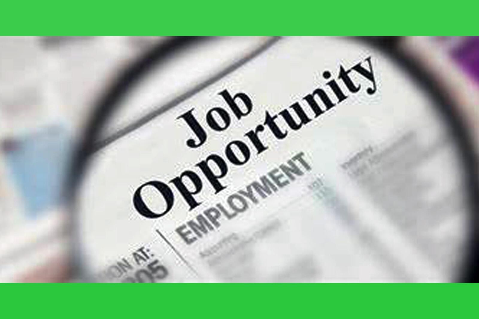 நவம்பர் 15க்குள் அப்ளை பண்ணுங்க... ரூ.55,000/- சம்பளத்தில் அரசு வேலை வாய்ப்பு!