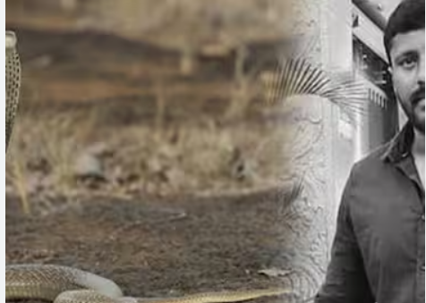 பெரும் சோகம்.... பாம்பு கடித்து பாம்பு கடி வீரர் உயிரிழப்பு!