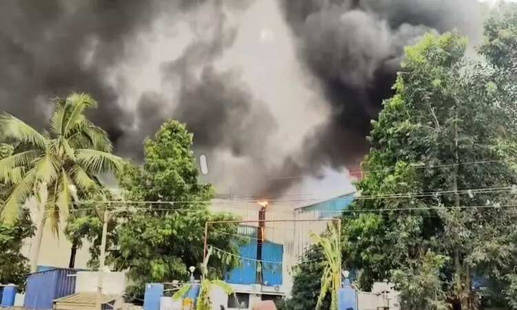 தொழிற்சாலையில் பயங்கர தீ விபத்து... ரூ.10 கோடி மதிப்பிலான பொருட்கள் எரிந்து சேதம்!