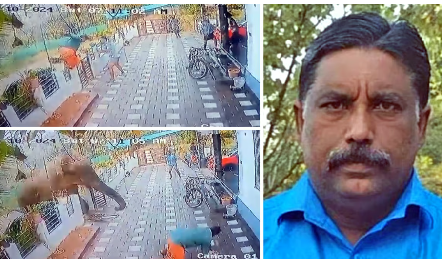 பகீர் வீடியோ... வீட்டிற்குள் புகுந்து கண்ணெதிரே மிதித்துக் கொன்ற மக்னா யானை!