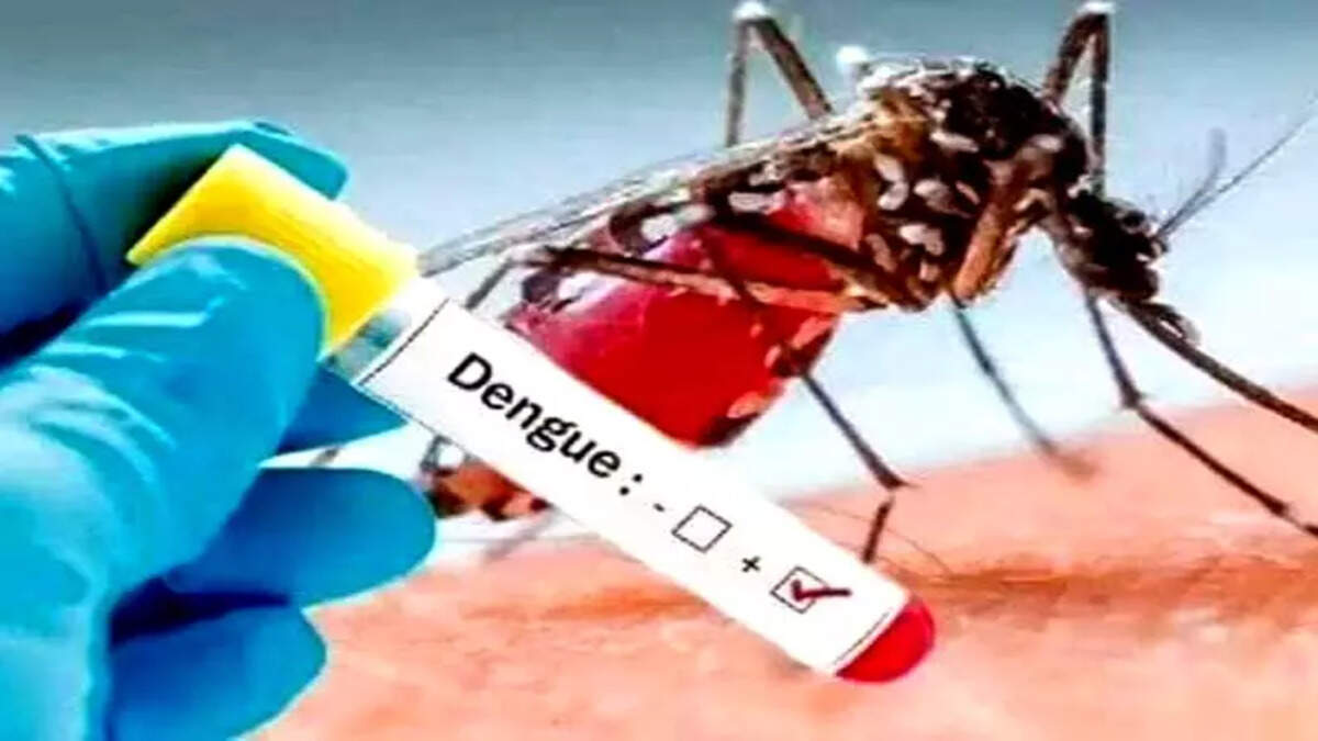 டெங்கு
