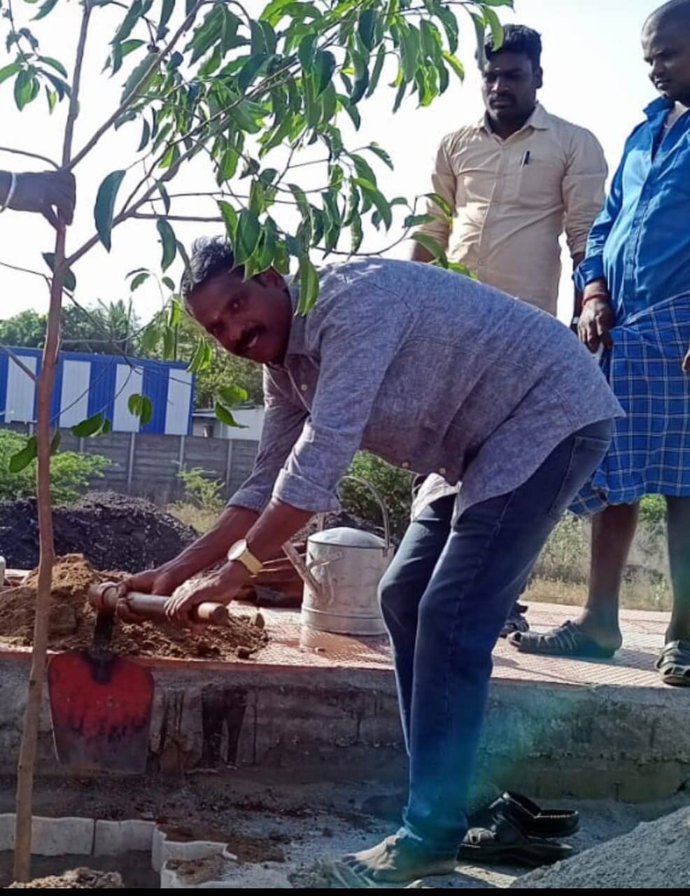 1000 மரங்கள் நட்டு அசத்திய மாமன்ற உறுப்பினர்!!