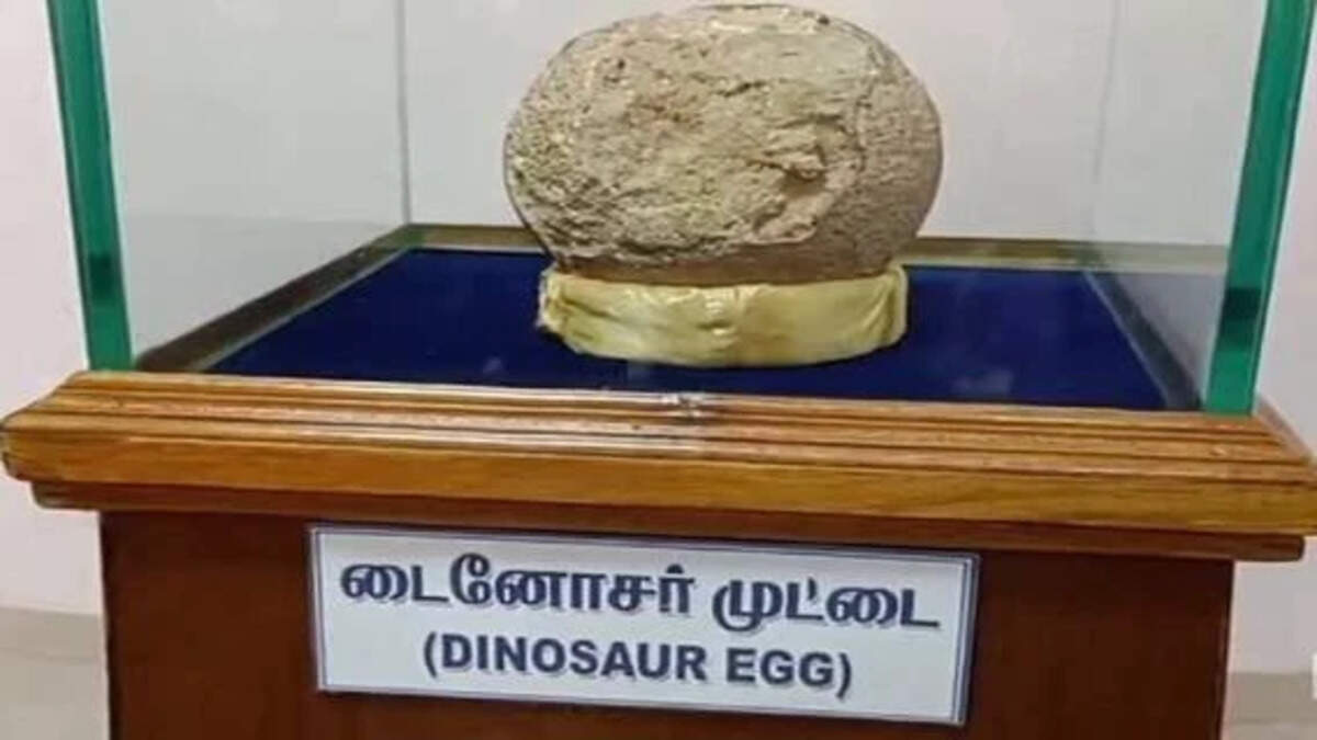 டைனோசர்