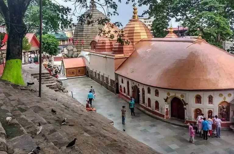 பெரும் அதிர்ச்சி... கோவிலில் நரபலி பூஜை.. சாதுக்களிடம் சிக்கி பலியான பெண்!