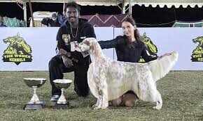 விஜயபிரபாகரன் வளர்த்த நாய்க்கு சர்வதேச நாய் கண்காட்சியில் சாம்பியன் பட்டம்!