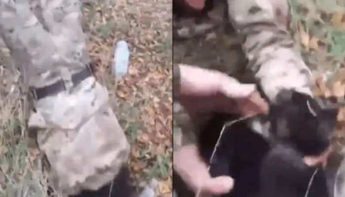 நாய்க்குட்டிக்காக தலைகீழாக தொங்கிய ராணுவ வீரர்!! வைரலாகும் வீடியோ!!