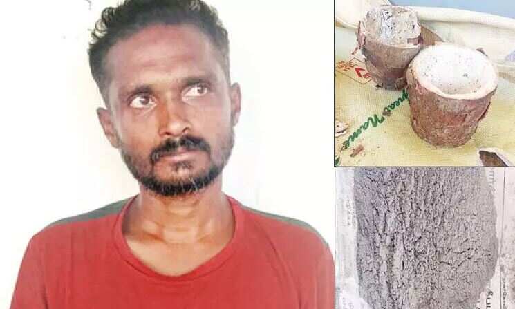 மரவள்ளிக் கிழங்கைப் பயன்படுத்தி நாட்டு வெடிகுண்டு தயாரித்த இளைஞர்... குமரியில் பரபரப்பு!