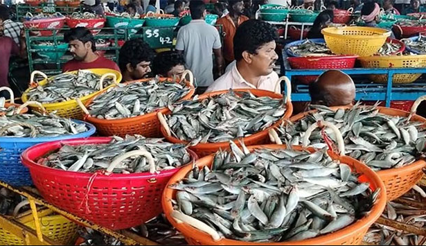 நள்ளிரவு முதல் தடைக்காலம்... மீன் வாங்க அலைமோதிய மக்கள்!