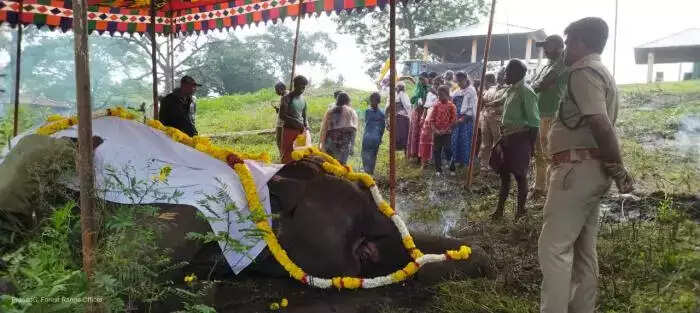 முகாமில் மூர்த்தி யானை உயிரிழப்பு.. அரசு மரியாதையுடன் நல்லடக்கம்!!