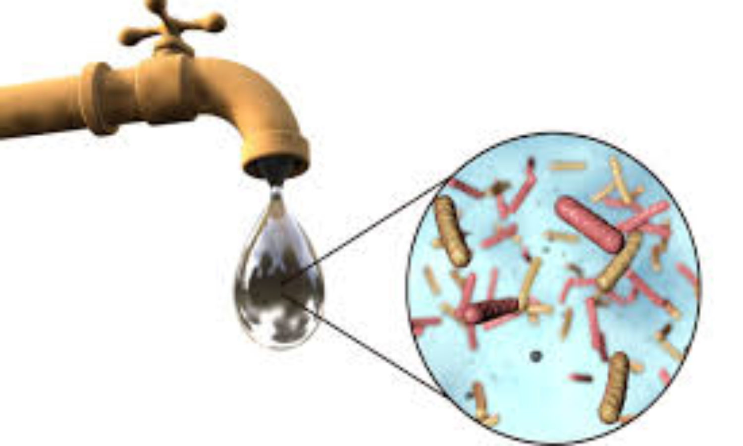 அடுத்த அதிர்ச்சி!! 30 நாடுகளில் காலரா பரவல் !! உலக சுகாதார அமைப்பு எச்சரிக்கை!!