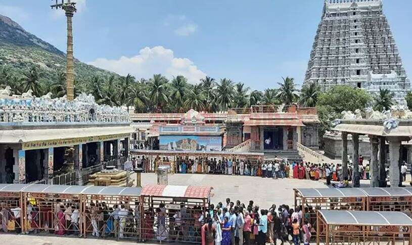 திருவண்ணாமலை மகா சிவராத்திரி... அண்ணாமலையார் கோவிலில் லட்சக்கணக்கில் அலைமோதிய பக்தர்கள்!