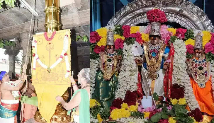 தைப்பூச நாளில் தேரோட்டம்... பழனியில் அலைகடலென திரண்ட பக்தர்கள்... !