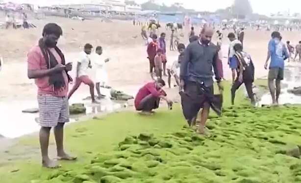 திருச்செந்தூரில் கடல் 80 அடி தூரம் உள்வாங்கியது!