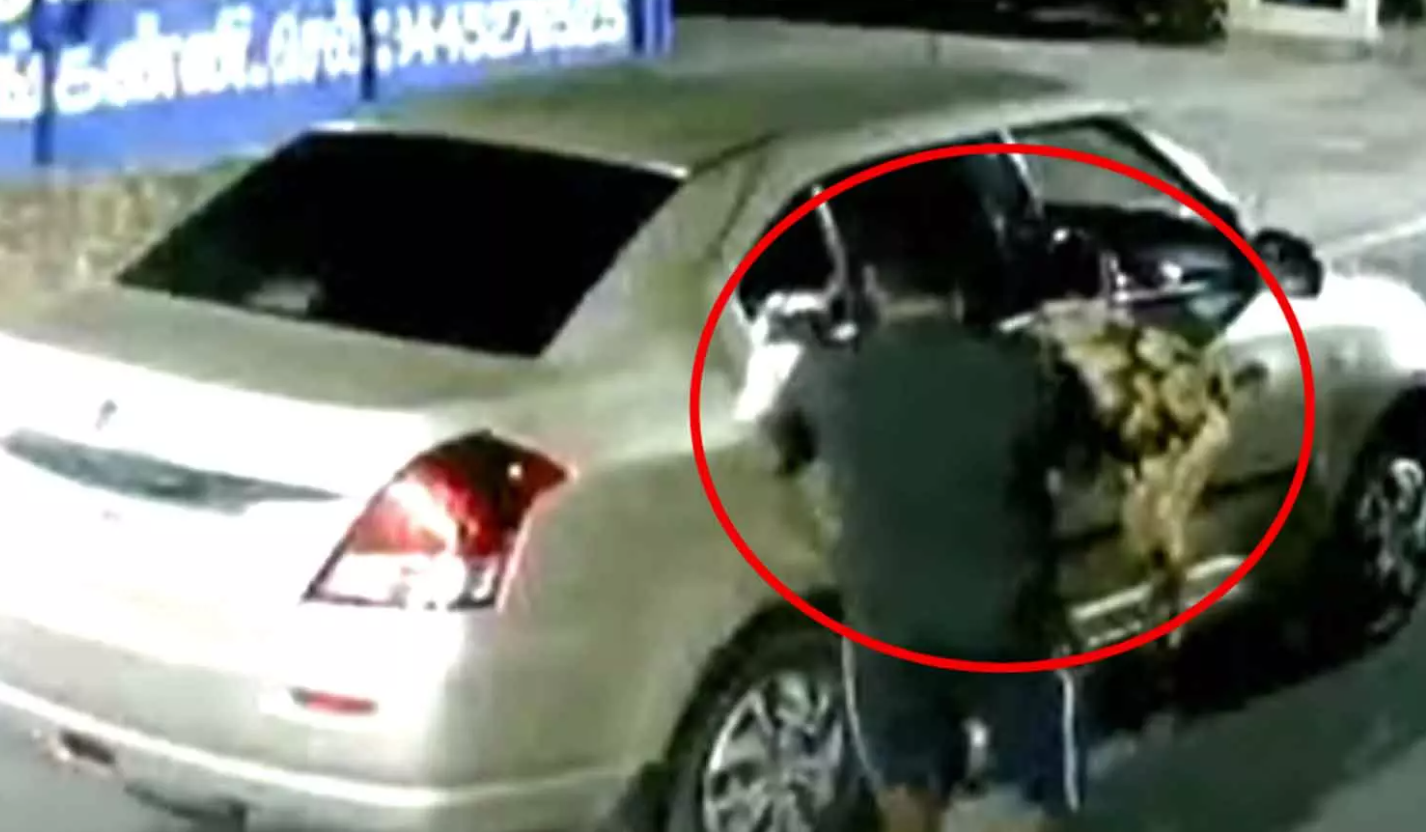 சொகுசுக்காரில் ஆடு திருடும் மர்மநபர்கள்... பகீர் சிசிடிவி காட்சிகள்!