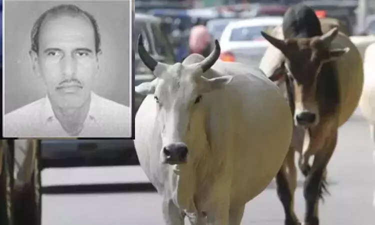 மாடு முட்டி ஒருவர் பலி... பெரும் சோகம்!