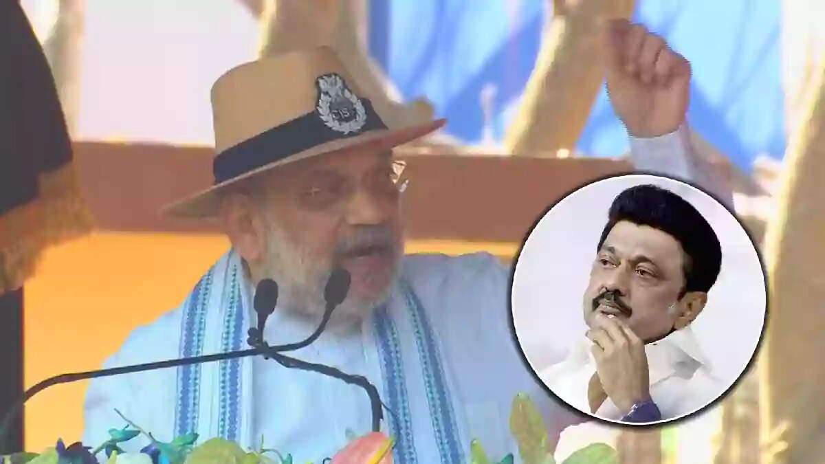 தமிழ் மட்டுமில்ல... ஒவ்வொரு மாநில மொழிக்கும் மத்திய அரசு முக்கியத்துவம் கொடுத்து வருகிறது... அமித்ஷா ஆவேசம்!