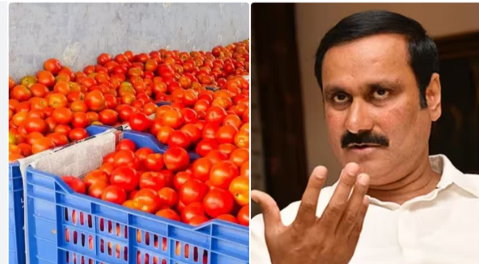 ஆட்சிக்கு வந்து 4 வருஷமாச்சு... வாங்குவதற்கு ஆளில்லாத தக்காளி... திமுகவின் வாக்குறுதி என்னவாச்சு? அன்புமணி ராமதாஸ் காட்டம்!