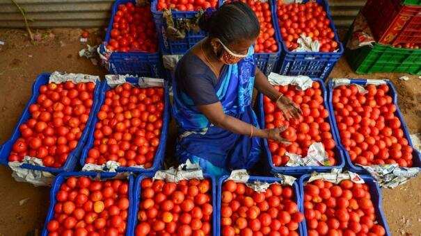 தக்காளி அதிரடி விலை குறைப்பு!! இல்லத்தரசிகள் மகிழ்ச்சி!!