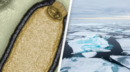 உயிரைக் கொல்லும் ஜாம்பி வைரஸ்... பருவநிலை மாற்றத்தால் பெரும் ஆபத்து... !