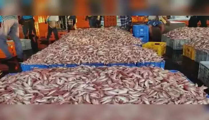 மீன் மார்க்கெட்