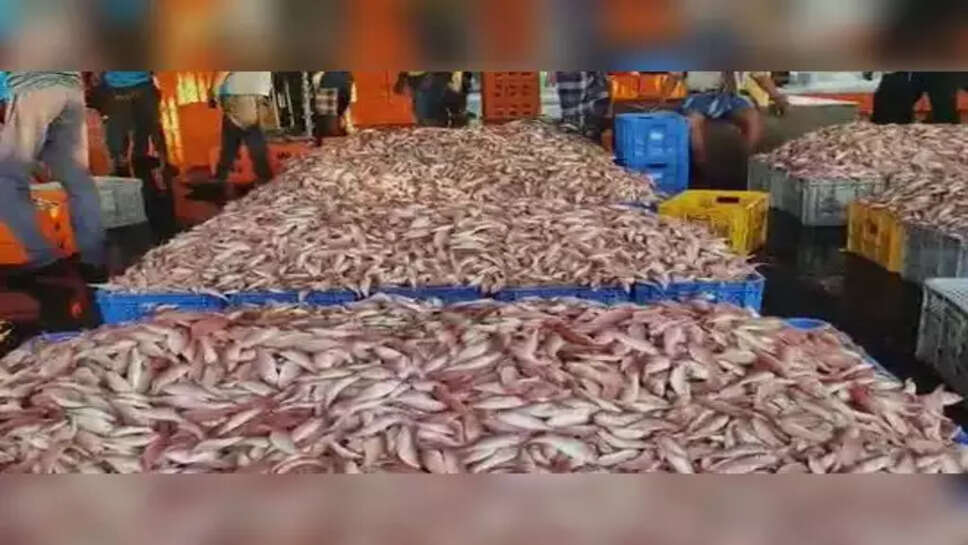 மீன் மார்க்கெட்