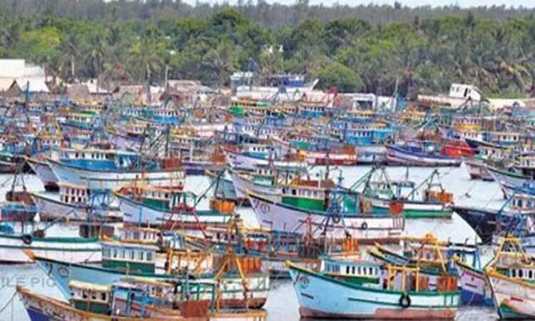 800க்கும் மேற்பட்ட விசைப்படகு மீனவர்கள் திடீர் வேலை நிறுத்தம்!