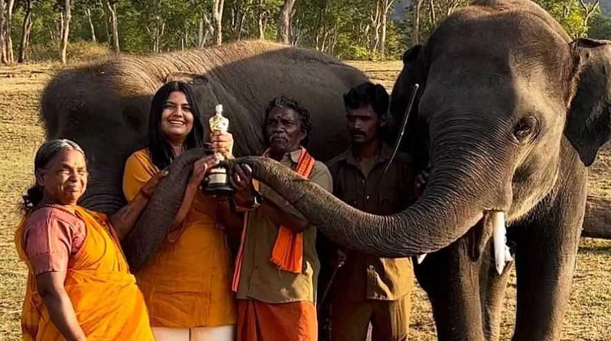 பொம்மன் பெள்ளி தம்பதி ரூ2 கோடி கேட்டு நோட்டீஸ்!! அதிர வைக்கும் தகவல்கள்!!