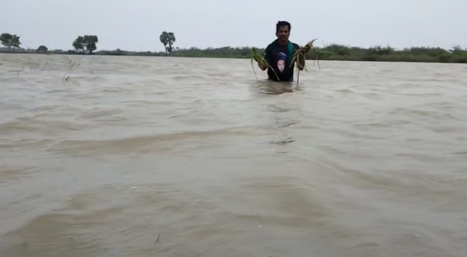 பெரும் சோகம்... இடுப்பளவு நீரில் மூழ்கிய நெற்பயிர்கள்... விவசாயிகள் கண்ணீர்!