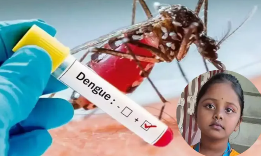 டெங்குவால் 4 வயது சிறுமி பலி... 2 குழந்தைகள் கவலைக்கிடம்... பெற்றோர்களே உஷார்!!