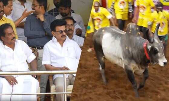 அலங்காநல்லூரில் சீறிப்பாயும் காளைகள்... நேரில் கண்டு ரசித்த முதல்வர் ஸ்டாலின் - வெற்றி பெற்றவர்களுக்குத் தங்கம் பரிசளிப்பு!