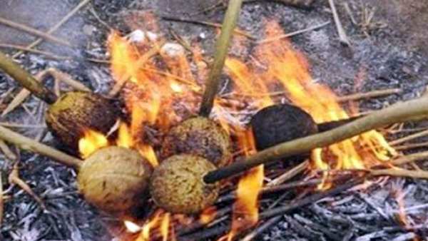 ஆடி மாசம் துவங்கிடுச்சு... ஆடி 1ம் தேதி ஏன் தேங்காய் சுட்டு கொண்டாடுகிறோம் தெரியுமா?