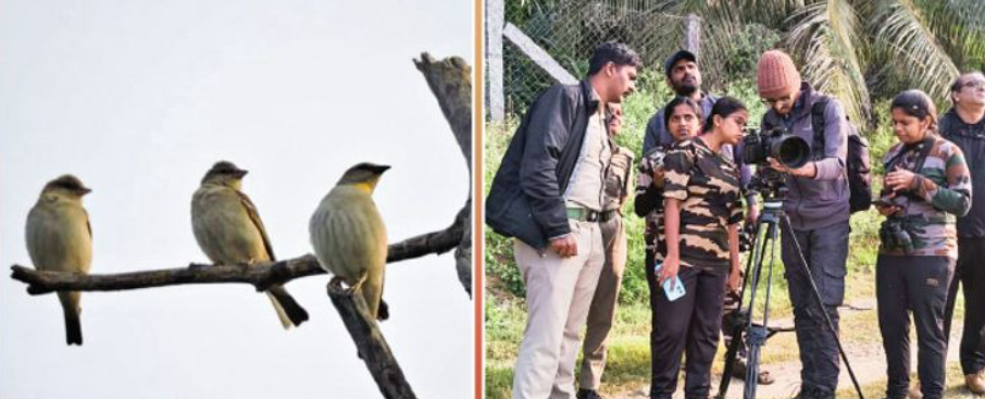 சத்தியமங்கலம் வனத்தில் பறவைகள் கணக்கெடுப்பு தொடக்கம்!