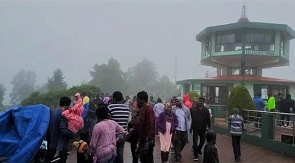 நீலகிரி