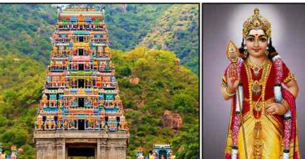 சுயம்பு மூர்த்தி... திருமண வரம் தரும் மருதமலை முருகன்... இத்தனை சிறப்புக்களா?!