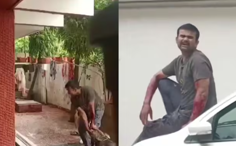 பகீர் சிசிடிவி காட்சிகள்... உணவு டெலிவரி ஊழியரை கடித்து குதறிய பிட்புல் நாய்கள்!