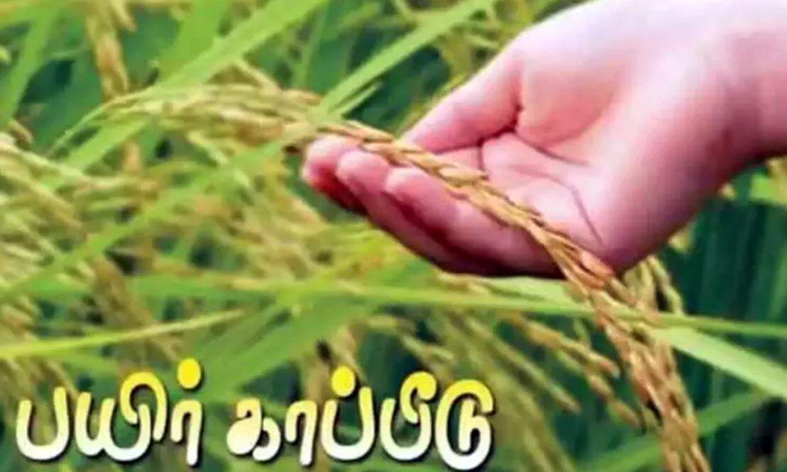 விவசாயிகளுக்கு அவசர செய்தி... பயிர் காப்பீடு செய்ய நாளை கடைசி நாள்...- தமிழக அரசு தகவல்!
