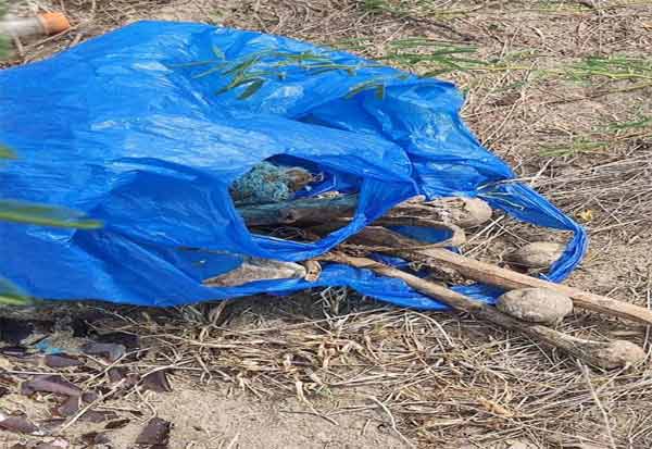 பிளாஸ்டிக் பை நிறைய மண்டை ஓடுகள்! தொடரும் மர்மம்! பயத்தில் மக்கள்!