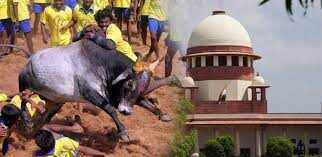 2023ல் ஜல்லிக்கட்டு நடத்தப்படுமா?! நாளை வழக்கு விசாரணை!!