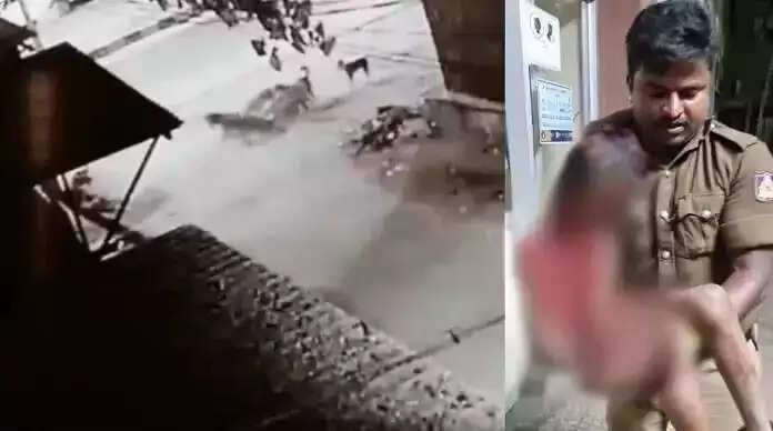 பகீர்... வீட்டின் முன் விளையாடிய சிறுவனைத் துரத்தி துரத்தி கடித்த தெரு நாய்கள்... அதிர்ச்சி வீடியோ!