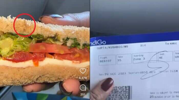 இண்டிகோ விமானத்தில் வழங்கப்பட்ட சாண்ட்விச்சில் புழு.. அதிர்ச்சியில் உறைந்த பெண் பயணி..!!