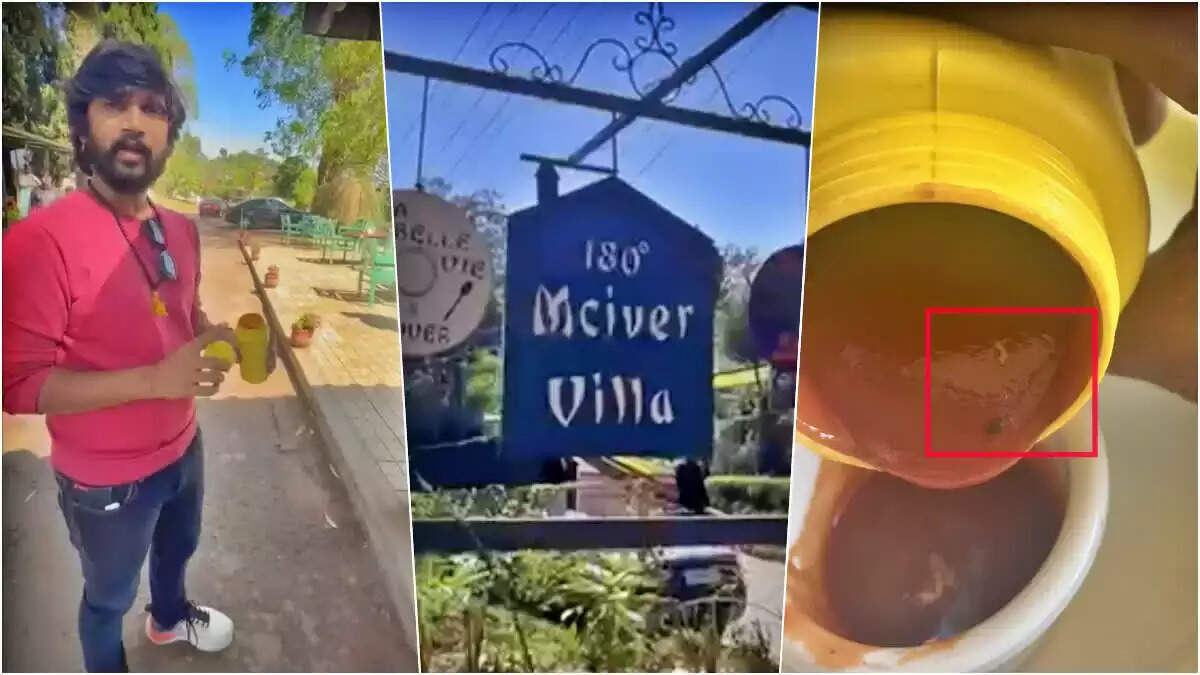 அதிர்ச்சி வீடியோ... தக்காளி சாஸில் நெளிந்த புழுக்கள் ... பிரபல நடிகர் பரபரப்பு புகார்!