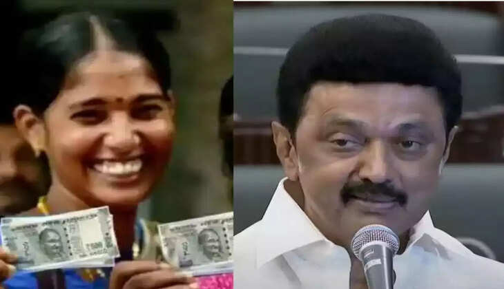 இல்லத்தரசிகள்