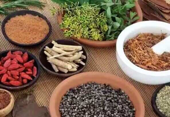 உடல் எடை குறைக்க சூப்பர் டிப்ஸ்.. தினமும் இதை பாலோவ் பண்ணுங்க!